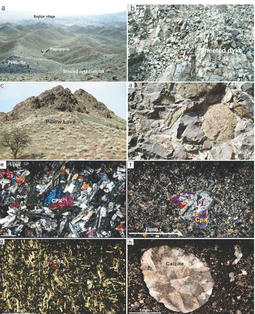 Fig. 5 - Field occurrence and photomicrographs of sheeted dykes and pillow lavas: a) panoramic view of the sheeted dyke complex; b) close view of the sheet- sheet-ed dyke complex; c) an outcrop of pillow lavas; d) typical pillow lavas with inter-pillow car