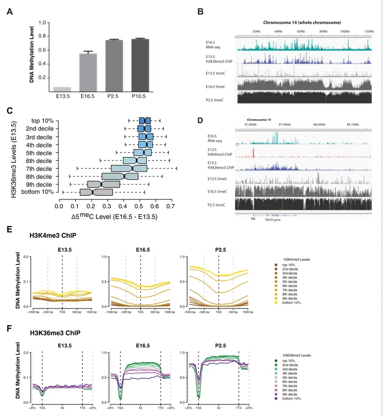 Figure 6. H3K4me3 and H3K36me3 distribution predicts de novo DNA methylation pattern in male germline