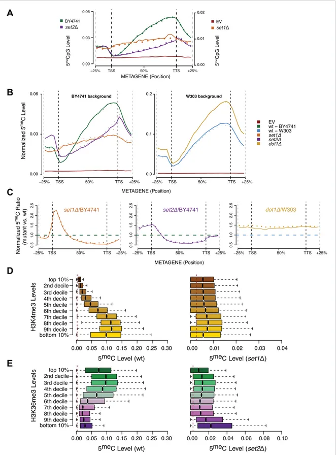 Figure 5. Effect of histone lysine methyltransferase deletions on the distribution of DNA methylation