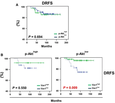 Fig. 6. Distant relapse-free survival of breast cancer patients according to p-Akt and/or Vav1 status of their primary tumors