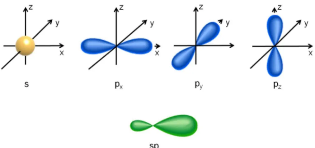 Figure 1.2: Representation of the spherical s, of the three elongated p and of the hybridized sp atomic orbitals.