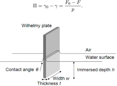 Figure 2.4: Sketch of the Wilhelmy plate partialy immersed in the deionized water which fills the trough.
