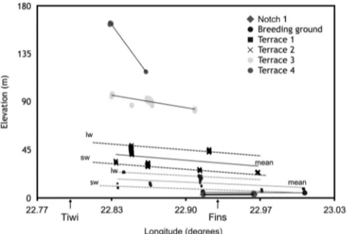 Figure 4 shows the longitudinal slope of the same terraces from Tiwi towards Fins. The elevations, both of the lower and upper boundary of each terrace, were measured wherever