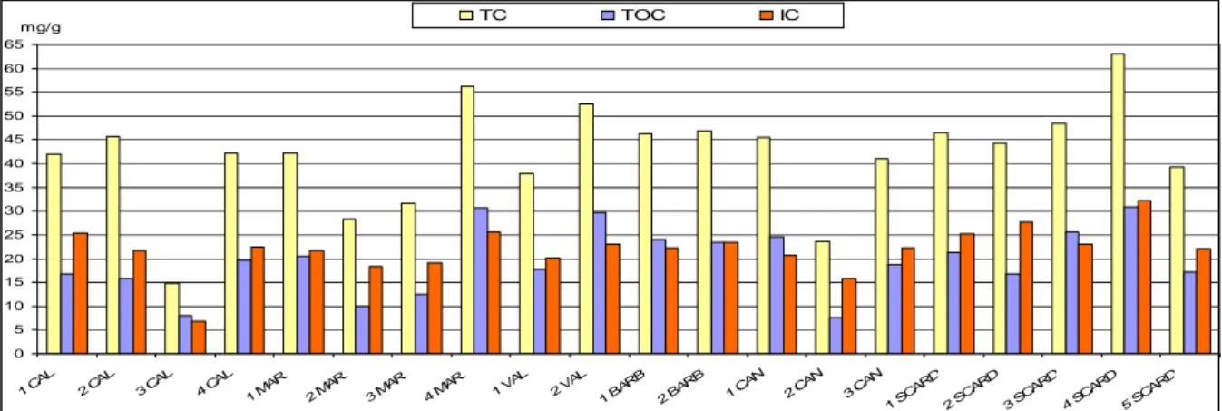 Figura  6.12.  Grafico  riportante  i  dati  sul  carbonio  della  tabella  6.1.  I  dati  si  riferiscono  alla  campagna  di  campionamento della primavera 2007 