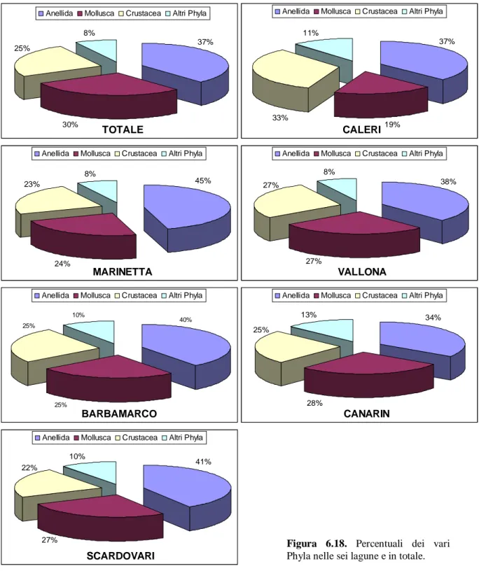 Figura  6.18.  Percentuali  dei  vari  Phyla nelle sei lagune e in totale. 