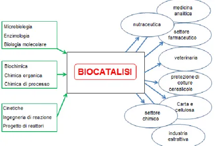 Figura 1. La biocatalisi: input scientifici e applicazioni industriali 