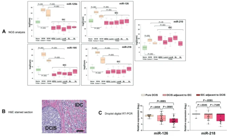 Figure 1: The expression of miR-126 and miR-218 is elevated in pure DCIS but not in DCIS adjacent to IDC