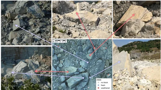 Fig. 8. Example of ground-truth points. The photographs show some of the blocks identiﬁed in the ﬁeld and used as ground truth to validate the classi ﬁcation.