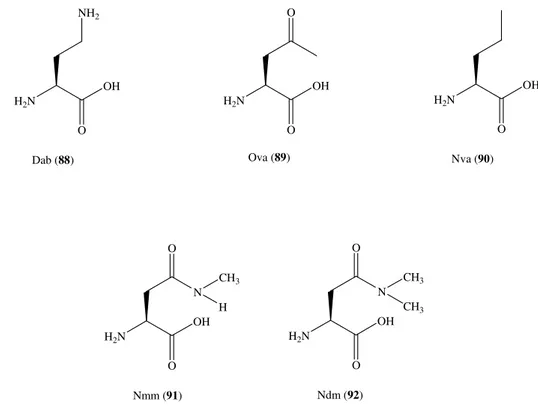 Figura 11. Struttura chimica degli aminoacidi non naturali utilizzati in posizione 4. 