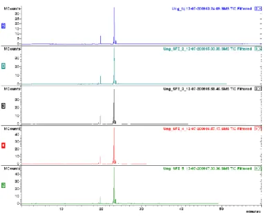 Figura 1 – Cromatogrammi relativi all’analisi GC-MS di campioni di olio di O. bataua  estratto con metodo tradizionale 