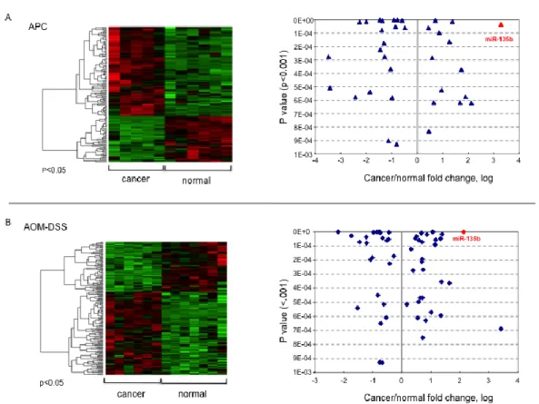 Figure 1. A. Genome-wide expression miRNA profiling was performed in colon tissue from 