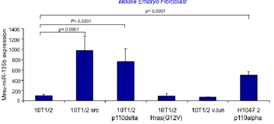 Figure 7. mmu-miR-135b expression was assessed by real time PCR in mouse embryo 