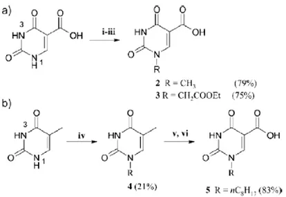 Figure  3.  Synthesis  of  N1-alkylated  isoorotic  acid  derivatives  (a)  via  regioselective  alkylation  of  Isoorotic acid ((i) HMDS,TMS-Cl, reflux  4 h; (ii) CH3I or ethyl  bromoacetate in excess, reflux,18 h; (iii)  H2O/  CH3COOH,  room  temp,  20  