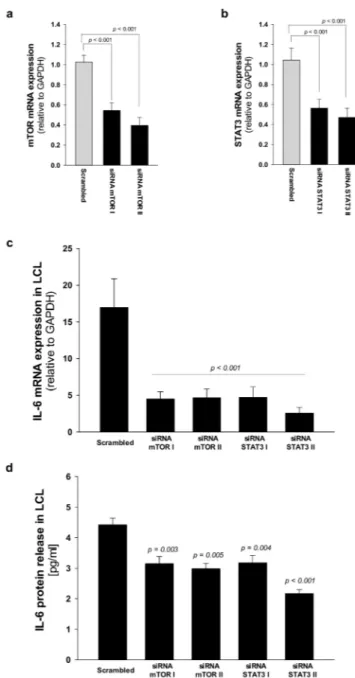 Figure 8. STAT3 and mTOR gene silencing inhibit IL-6 expression in LCL from SDS patients