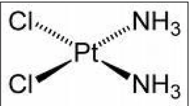 Fig. 9: Struttura chimica del cisplatino. 