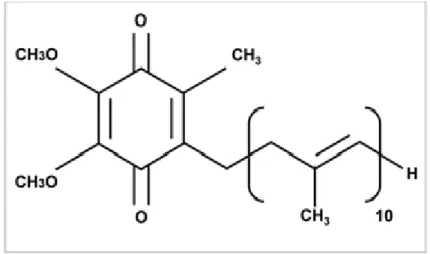 Fig. 12: Struttura chimica del Coenzima Q10. 