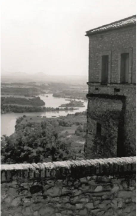 Figure 7: The Natural Park of Nazzano view from the Castle (Photo by the Author)