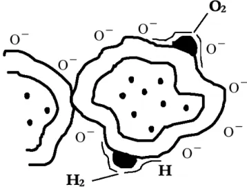Figura 1.18: Spillover di molecole di ossigeno ed idrogeno ad opera dei