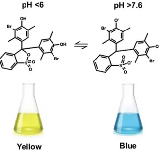 Figure 3. Change in chemical structure and color of bromoxylenol blue (BB) as a function of pH
