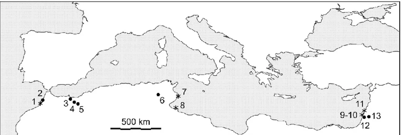 Figure  ‎ 3.13: Location des sites du Paléolithique moyen dans la méditerranée ayant livré des  coquilles comme objet de parure 