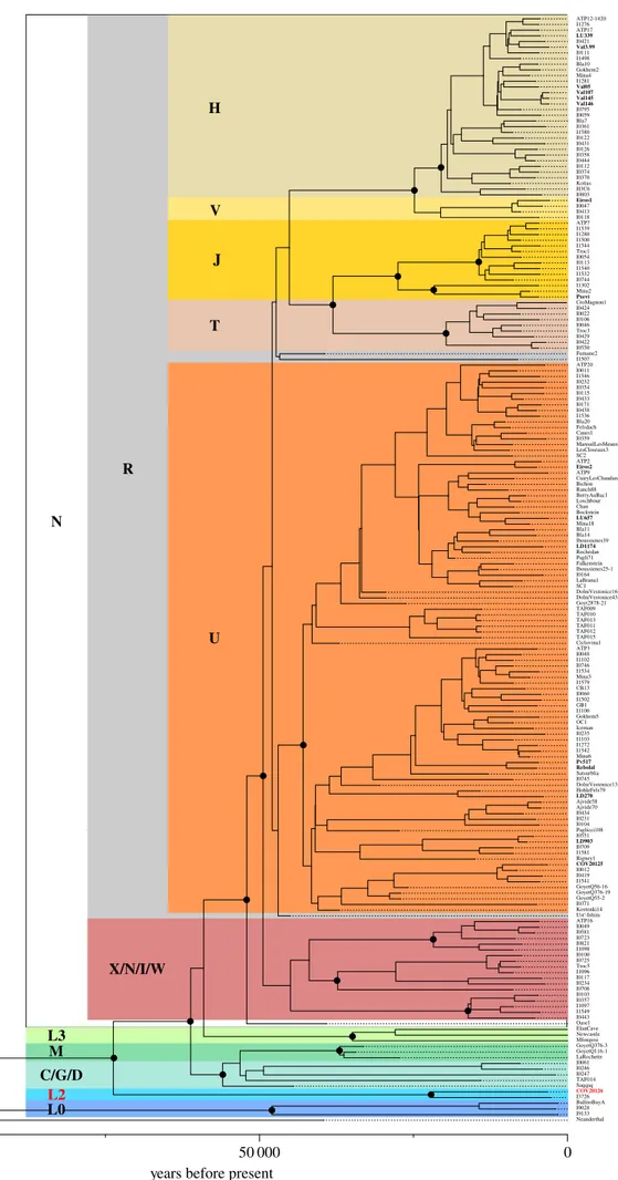 Figure 2. Calibrated phylogeny of 194 ancient mitogenomes from Europe, Middle East and Africa
