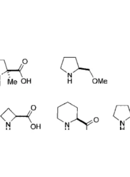 Figura 1    Alcuni dei catalizzatori mimetici della prolina noti in letteratura 