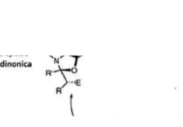 Figura 6   Meccanismo di reazione proposto da Seebach nel 2007 