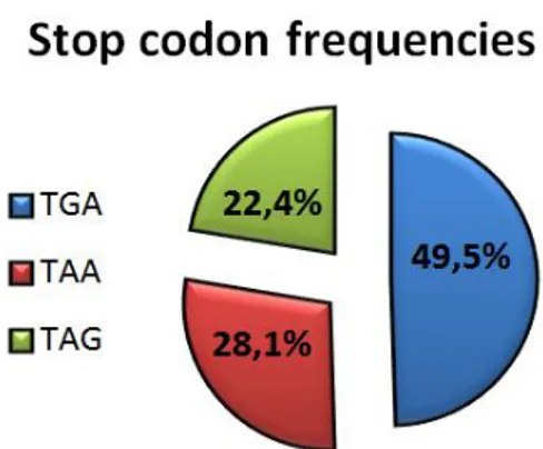 Figure 12: Stop codon frequencies in human transcripts. Data from: Sun, Chen et al. 2005