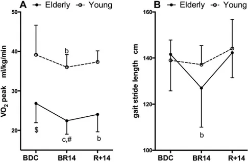 Fig. 2. A: changes in peak aerobic power normalized to body mass. B: changes in gait stride length