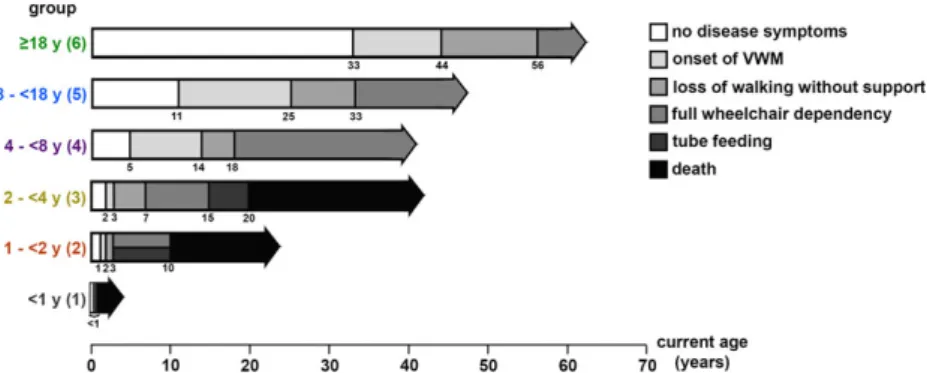 FIGURE 2: Disease course per age at onset group. Age at onset of vanishing white matter (VWM) and age at times of loss of walking without support, full wheelchair dependency, start of tube feeding, and death among 291 patients are shown (numbers of patient