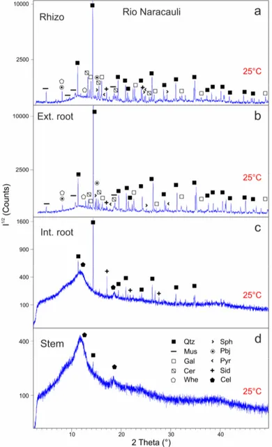 Figure 6. XRD patterns of samples from Rio Naracauli collected before heating (25 °C): rhizosphere  (a), external root (b), internal root (c), and stem (d)