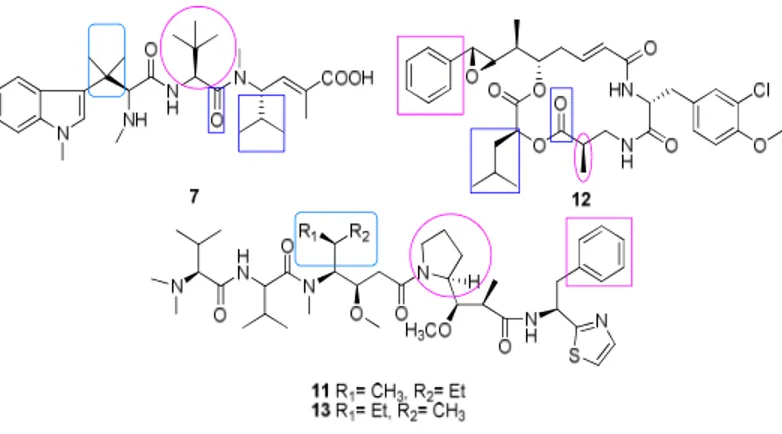 Figure  II-2.  Structure  of  hemiasterlin,  cryptophicin  1,  dolastatin.  Boxed  region 