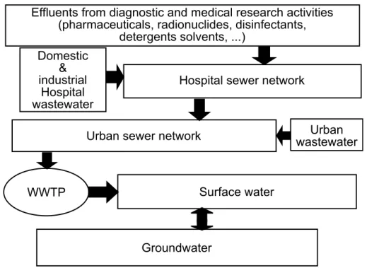 Figure 3.1.: Problems of hospital effluents, their impacts on WWTP and on natural environments (adapted from Emmanuel et al