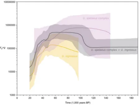 Figure 3.  Bayesian skyline plot derived from an alignment of 123 complete mitochondrial genomes