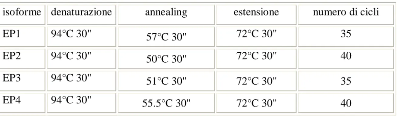 Tabella IV: Cicli termici ottimali per ciascuna isoforma di EP. 