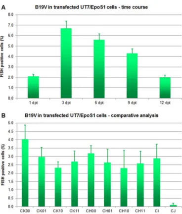 Fig. 3. FISH assay for transfected UT7/EpoS1 cells. A. Fraction (%) of FISH positive UT7/EpoS1 cells following transfection with insert CK10, in a time course experiment (1–12 dpt)