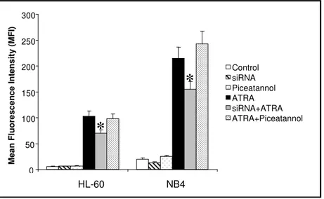 Figura  15.  Valutazione  citofluorimetrica  dell’espressione  dell’antigene  di  superficie  CD11b  in  cellule  HL-60  e  NB4  coltivate  in  condizione  di    controllo,    sottoposte  a  down-modulazione  dell’espressione  (siRNA) o  della fosforilazio