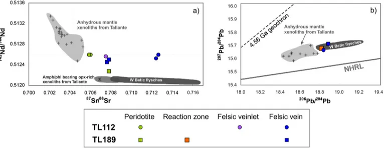 Fig. 8. Isotopic composition of the studied composite mantle xenoliths (data from Table 3 ) in comparison with published data for other anhydrous (data from Beccaluva et al., 2004 ,