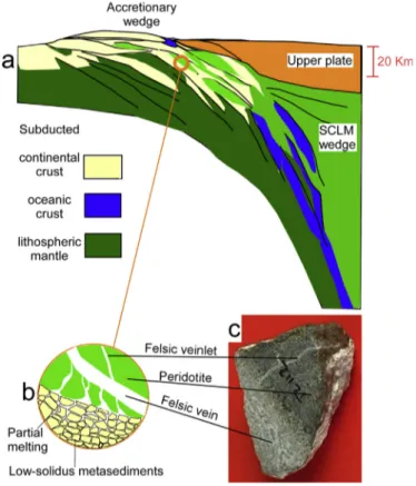 Fig. 11. Cartoon showing a sketch of crustal recycling related to crust-mantle interlayering during continental collision (a)