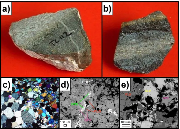 Fig. 2. a) Composite xenolith TL112, including peridotite portion (bottom right), reaction zone and centimetric vein (top left); the millimetric felsic veinlet is also visible: b) Composite xenolith TL189 where the centimetric felsic vein is sandwiched on 