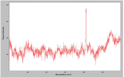 Figure 6.11. Raman spectrum of the sample S2 showed gypsum by its characterisc band at 1008 cm −1 