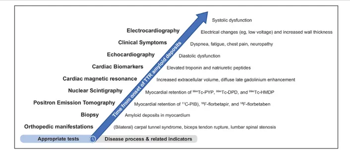 Figure 2.  Proposed timeline of appropriate diagnostic tests based on typical disease process