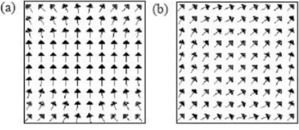 Figure 1.2: Simulated magnetization vector ﬁelds in a square nanomagnet of edge 100nm
