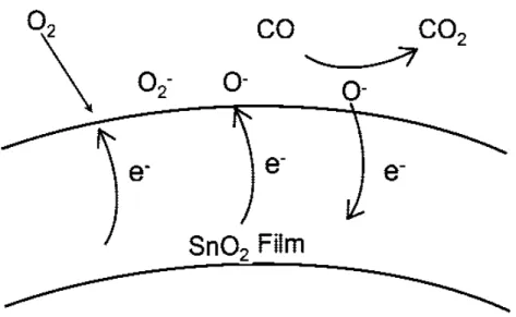 Figure 1.12: Schematic depiction of ionosorption model for atmospheric O 2 interaction and CO