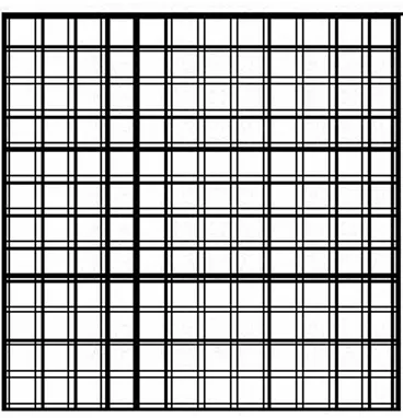 Figure 18. Schematic representation of the counting grid of the Burker’s chamber. 