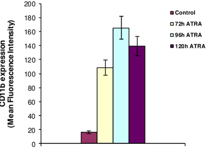 Figura 10. Lisati cellulari di cellule Kasumi-1 coltivate per i tempi indicati in presenza (+) o meno (-) di ATRA sono  stati sottoposti ad analisi immunochimica con l’anticorpo diretto contro Vav1