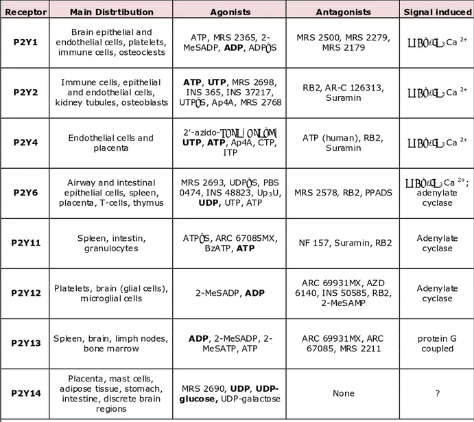 Table 1. Agonists, antagonists, tissues of distribution and   signal transducted by P2Y receptors  