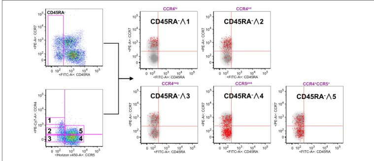 FIGURE 2 | CCR4 + expression characterize T