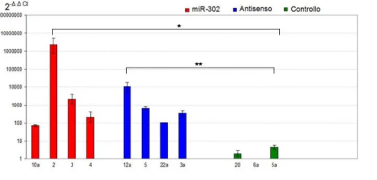 Figura  25.  Real  Time  PCR  per  la  detenzione del miR-302a  maturo nelle  H1299 trasfettate 