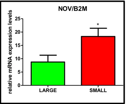 Figure  (16).  QPCR  of  NOV  in  large  and  small  populations,  18S  and  B2M  are  used  as  control 